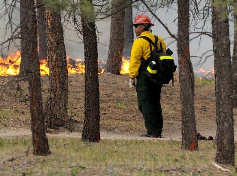 Devastating forest fire in colorado